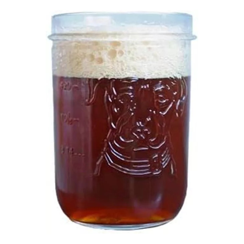 Lagunitas Signature Mason Jar - 16 Ounce - 4 PACK