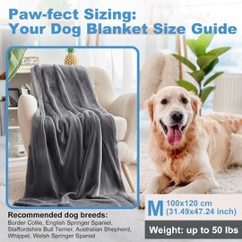 HezzLuv Waterproof Dog Blanket 100 x 120 cm, Washable Flannel Pet Blanket for Sofa Bed Cover, Non-Slip Warm Blanket, Fluffy & Soft, Leak-Proof, Furniture Protection for Small to Large Dogs Cats
