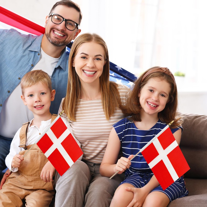 LoveVC 12Pcs 8×12 Inch Denmark Flags Small Danish Flag on