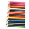Arpan 24 Colouring Pencils Full Size Assorted Colours Supplied x