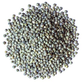 Food to Live Organic French Green Lentils, 10 Pounds – Non-GMO, Whole Dry Beans, Raw, Sproutable, Vegan, Kosher. Rich in Folate, Fiber, and Plant-Based Protein. Great for Soups, Chili and Curries