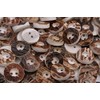 Pack of 6 Classic Genuine Stag Horn Buttons 2 Hole