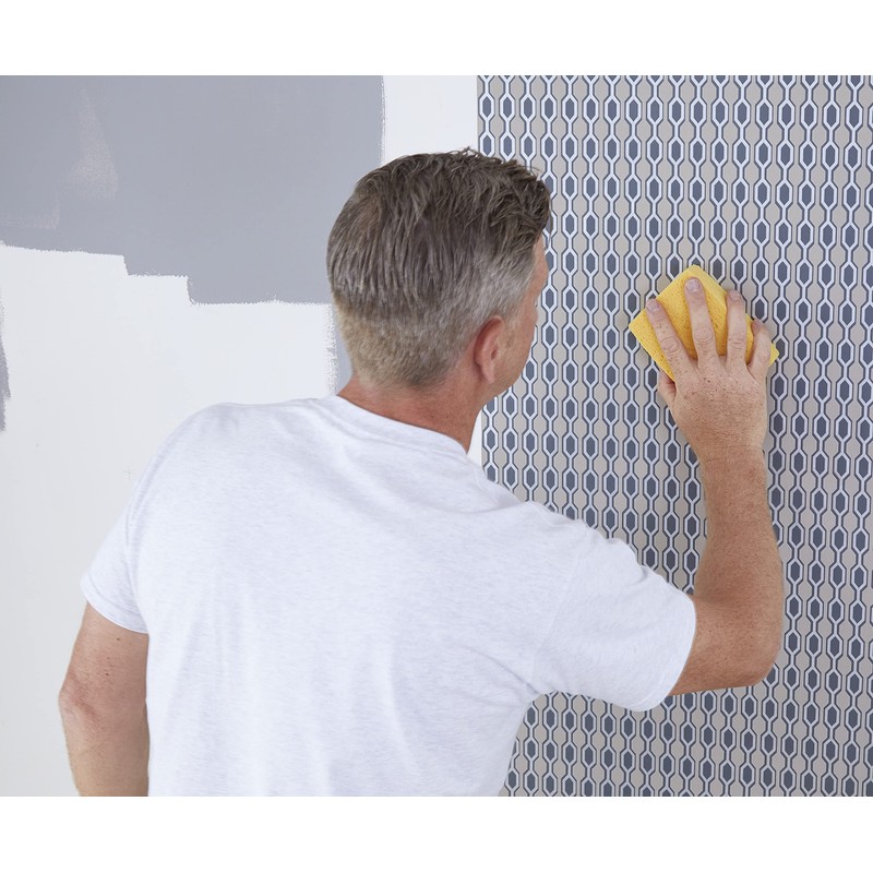 ProDec Super Absorbent Cellulose Sponge Holds 20x Its Weight in