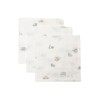 Jollein On The Go Muslin Baby Burp Cloths - Pack
