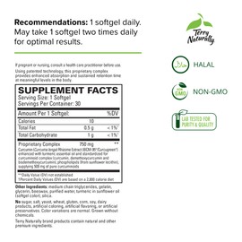 Terry Naturally CuraMed 750 mg Curcumin Complex - 30 Softgels, Pack of 2 - Superior Absorption BCM-95 - Non-GMO, Gluten Free, Halal - 60 Total Servings