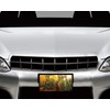 Wildlife Vanity Aluminum Front License Plate (Deer in Fall Forest)