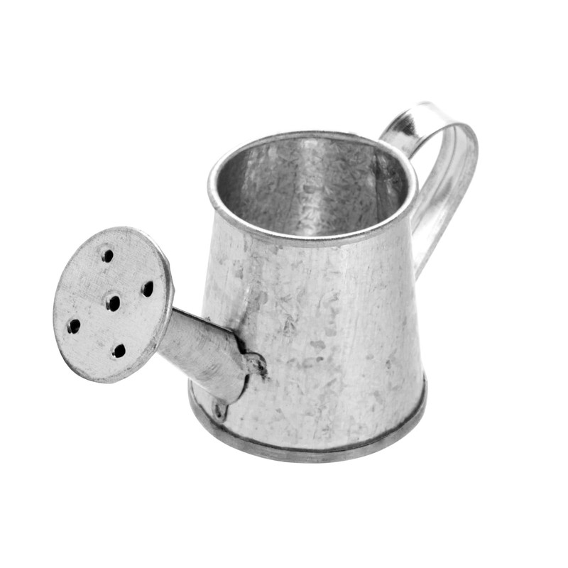 Juvale Mini Watering Can - 3 x 1.6 in, Silver,