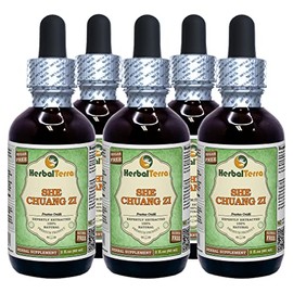 She Chuang Zi (Fructus Cnidii) Glycerite, Organic Dried Fruits Alcohol-Free Liquid Extract (Brand Name: HerbalTerra, Proudly Made in USA) 5x2 fl.oz (5x60 ml)
