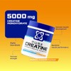 USN Micronised Creatine Powder 500g (79 Servings): Tropical Thunder Flavour,