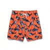 Men's Rash Guard Board Shorts Swim Trunks Beach Shorts TK46 5XL/SPNE28Q6 5ea