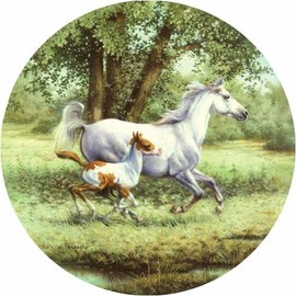 SunsOut Training Day Jigsaw Puzzle 1000 Piece