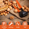 BANTI Nutcracker Walnuts Walnut Cracker Nut Opener Nut Cracker for
