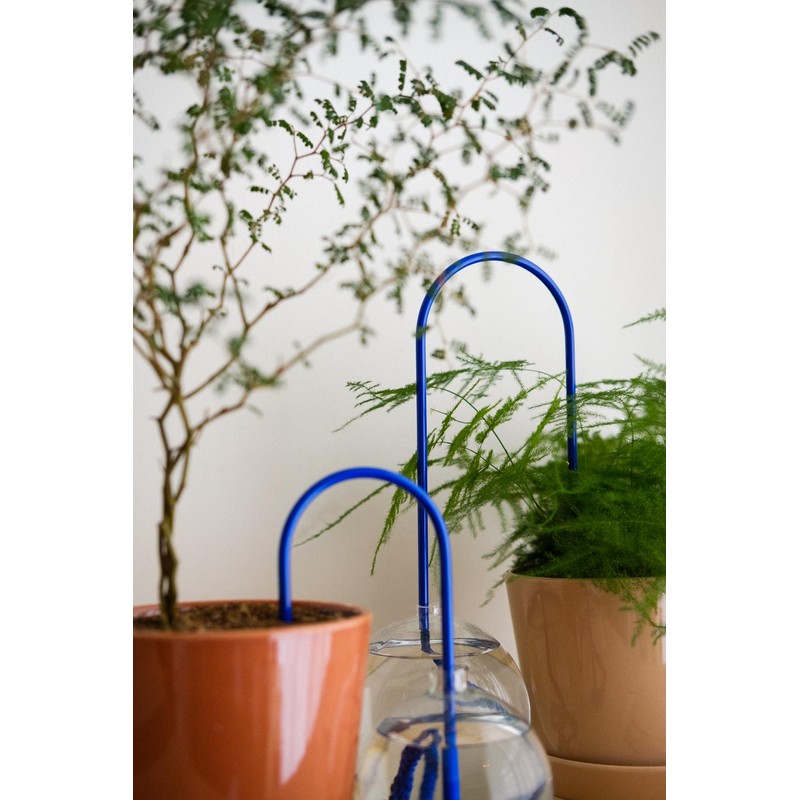 Plantstraws Beautiful Self-Watering Wick System for Effortless Plant Care, Automatic
