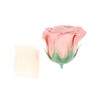 Francfranc Franfranc Cadmignon Bath Petals Pink (Bath Salt)