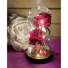 RBN Beauty and The Beast Rose with LED Light, Christmas Rose Gifts for Her, Lasts Forever in A Glass Dome, Unique Gifts for Women, Christmas, Wedding, Valentine's Day, Anniversary and Birthday