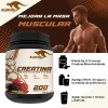 Creatina Monohidratada 1kg Klokan 200 Servicios Sabores