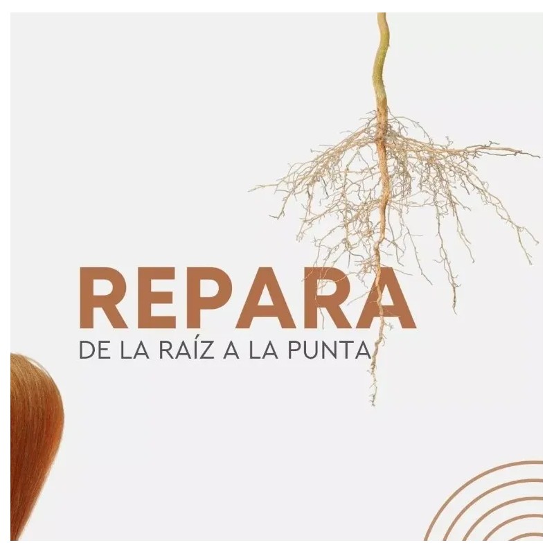 Brazilian Blowout Shampoo/acondicionador Duo Pack