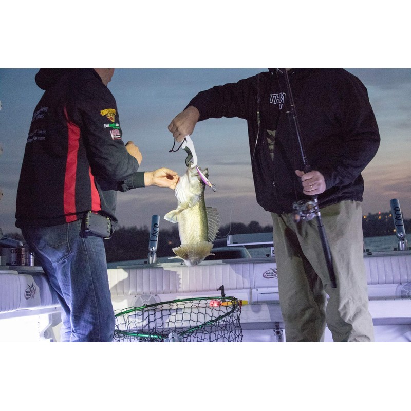 Bandit BDTWBD2B82 Walleye Deep Crankbait - Party Zebra (4-3/4 inch,