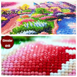 DIY 5D Diamond Painting Set, Full Drill Diamond Painting Pictures, Crystal Rhinestone Cross Stitch Embroidery Kit, Arts Craft for Home Wall Decoration (Graffiti Mickey, 30 x 40 cm)