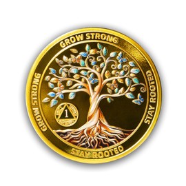 1 Year Sobriety Coin-Sobriety Gifts for Anniversary -Tree of Life AA Chip Medallion with Token Capsule- Clean Narcotics Alcoholics Anonymous Gifts for Men Women