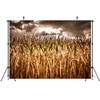 Loccor 7x5ft Fabric Spooky Corn Field Backdrop Fall Corn Field