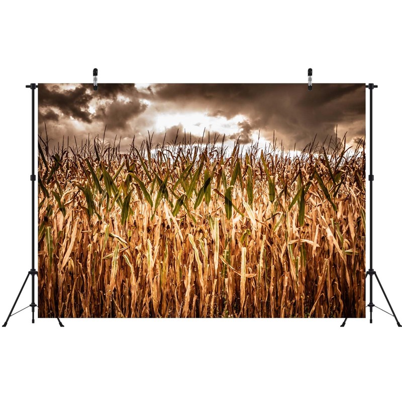 Loccor 7x5ft Fabric Spooky Corn Field Backdrop Fall Corn Field