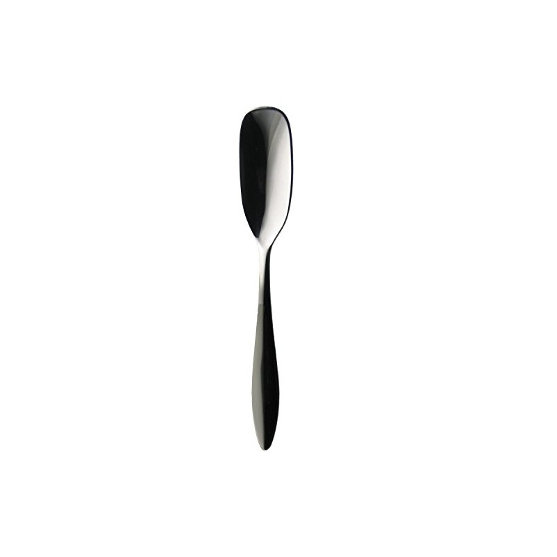 Todai XM-7 Albi Ice Cream Spoon 005726 Made in Japan