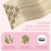 Pinkpearl Clip in Hair Extensions #27P60 Caramel Blonde Highlighted Platinum