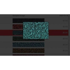 ACC Fits C10 Logo Aqua Carpet Floor Mats 2PC Fronts-1960-19