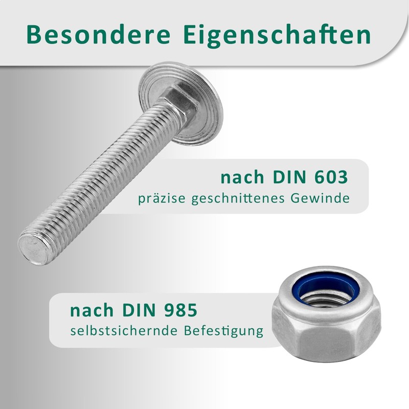 DSM - Carriage Bolts M5 x 45 mm DIN 603