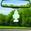 LITTLE TREES Car Air Freshener 6-Pack (Moroccan Mint Tea)