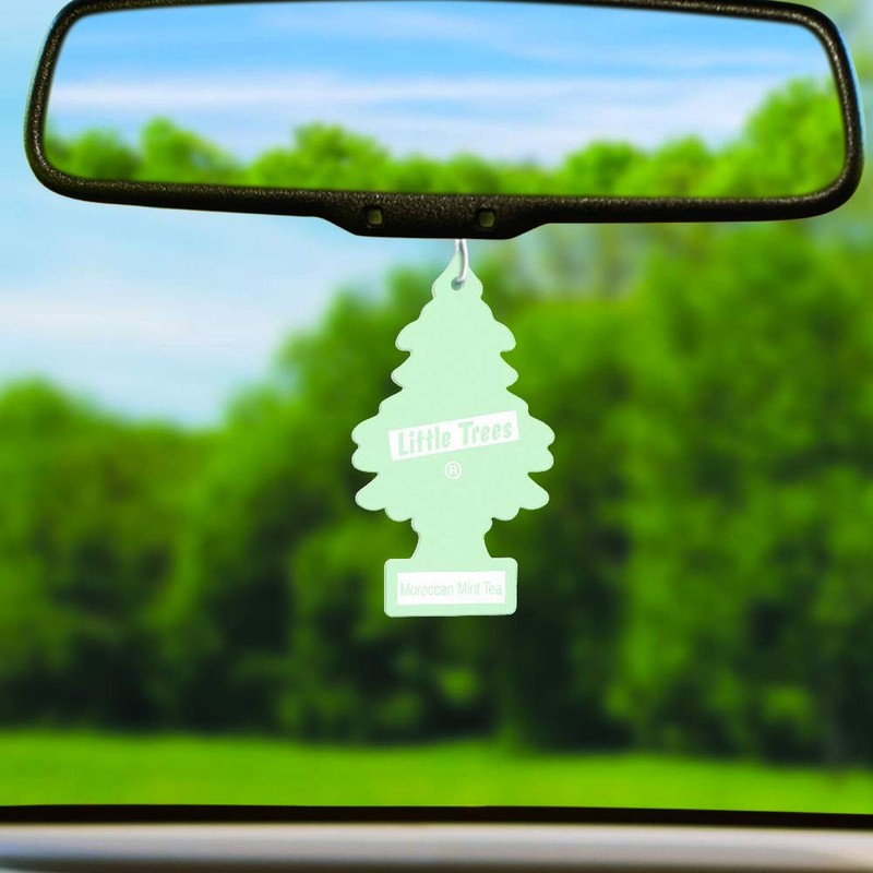 LITTLE TREES Car Air Freshener 6-Pack (Moroccan Mint Tea)