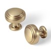 Goo-Ki 6 Pack Champagne Bronze Cabinet Knobs Zinc Alloy Drawer