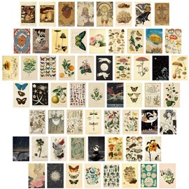 60 Pieces Vintage Wall Collage Kit Botanical Illustration Tarot Aesthetic Print Vintage Style Wall Pictures Vintage Cards Photo Wall Collection Aesthetic Collage Dorm Bedroom Decor for Teen Boys Girls