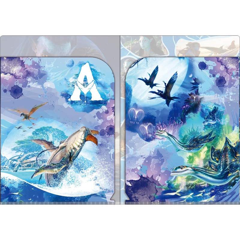 abata way of water pocket file w pocket clear file