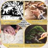 WILLBOND 5 Pcs Linocut Carving Tools Set Linoleum Hand Carving