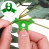 RDNKVB Gardening Plant Support - Innovative Plant Training Clips for