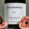 Just As I Am [거품천재] IAM 인텐시브 스칼프 케어 샴푸