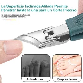 3pcs Cortaúñas Biselado Pico Águila Super Afilado Alicates                                                                                            