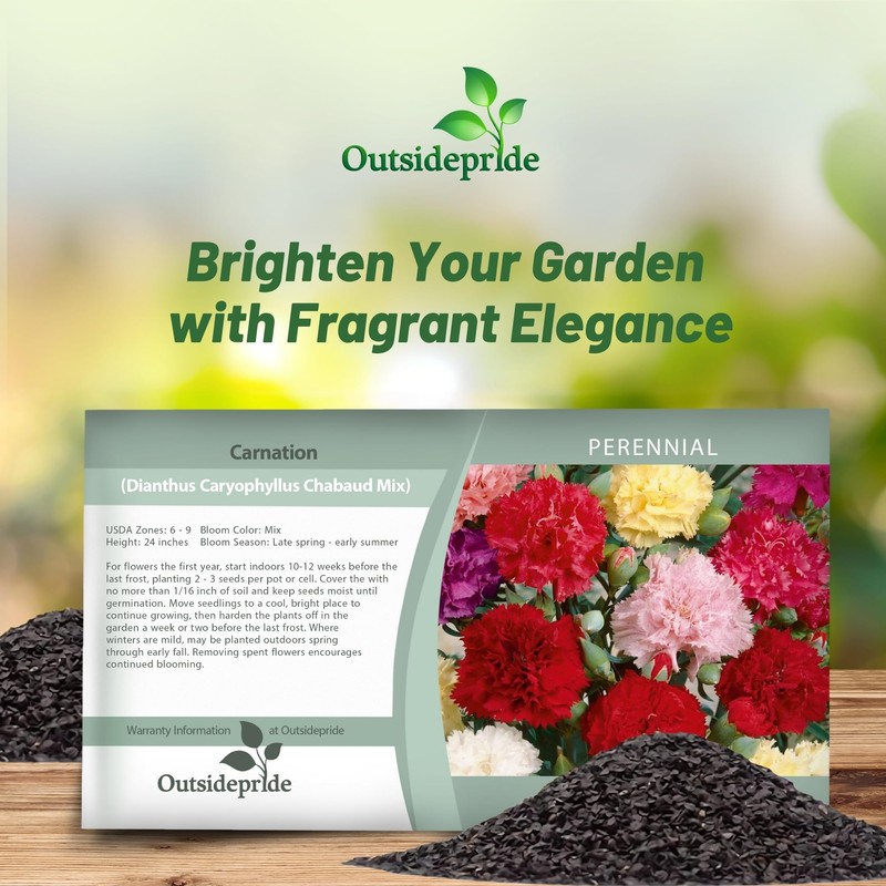 Outsidepride Chabaud Mix Carnation Seeds - 2000 Pcs Perennial, Easy