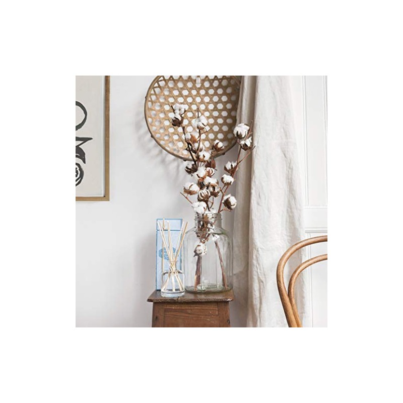 Castelbel Cotton Flower Reed Diffuser, 250 ml, Floral Fragrance