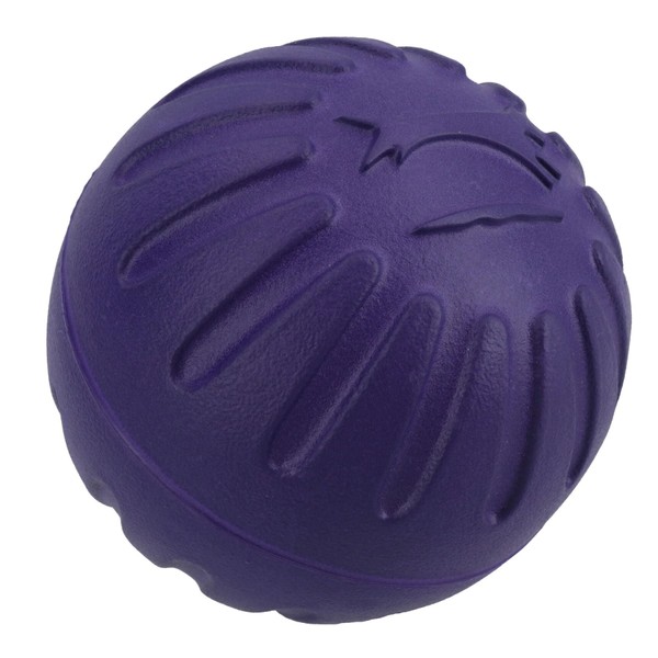 AB Tools Large Interactive Play Durafoam Dog Puppy Ball Floating
