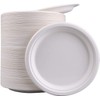 PACK of 50 9" Strong Disposable Bagasse Plates USED for