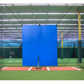 5' x 8' Vinyl Heavy Duty Baseball Batting Cage Backstop - GBCC (Blue)