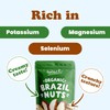 Food to Live - Organic Brazil Nuts, 2 Pounds Non-GMO,