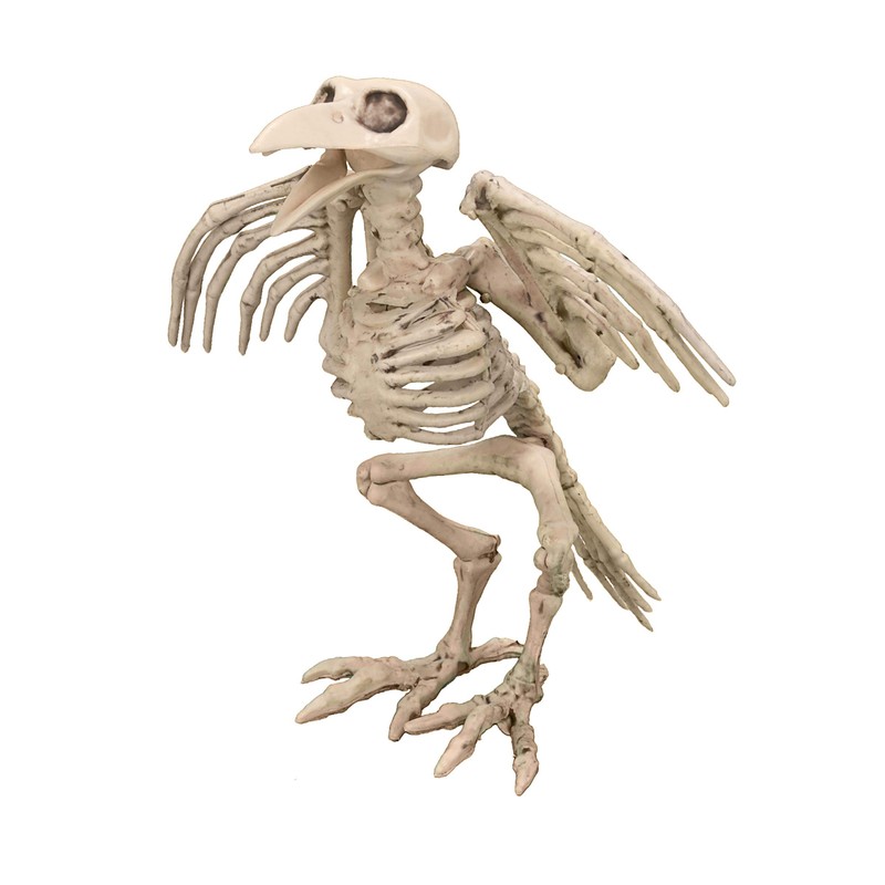 Boland 72093 deco-figure crow skeleton, other toys.