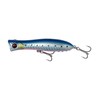 Savage Gear Gravity Popper – High-Performance Saltwater Popping Lure for