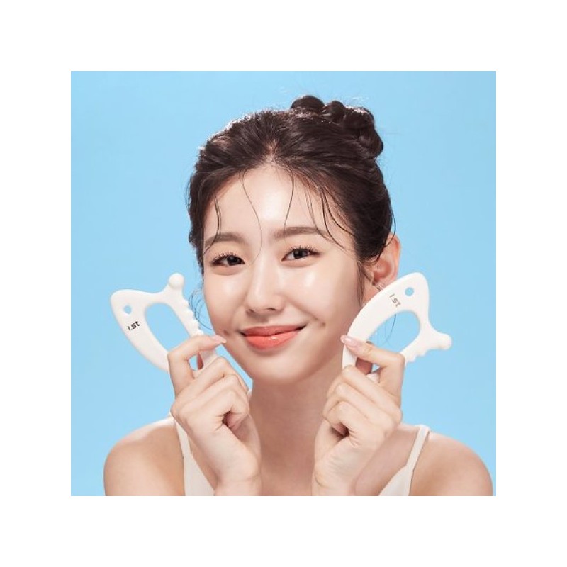 AIST 올인원 돌핀 세라믹 괄사 All-in-One Dolphin Ceramic Gua Sha