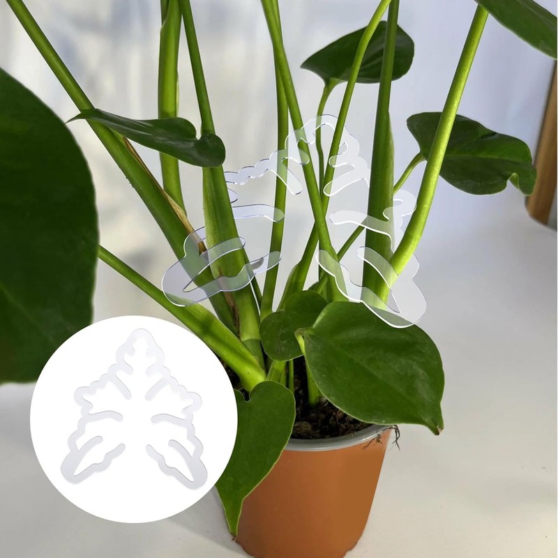 Climbing Houseplant Stem Supports,4Pcs Clear Plastic Flower Plant Growth Stake