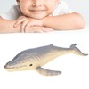 Ocean Animal Toys Humpback Models Educational Plaything Emulational for Kids